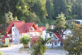 Отель Pension Green Park  Брашов